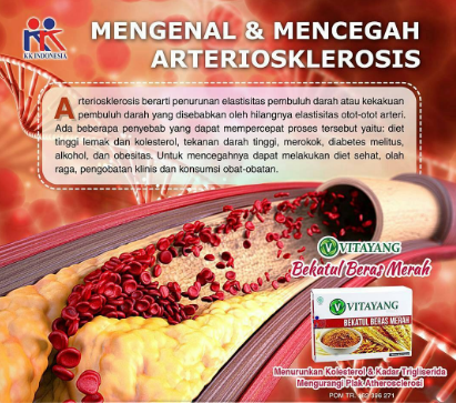 jual obat herbal kolestrol vitayang bekatul beras merah